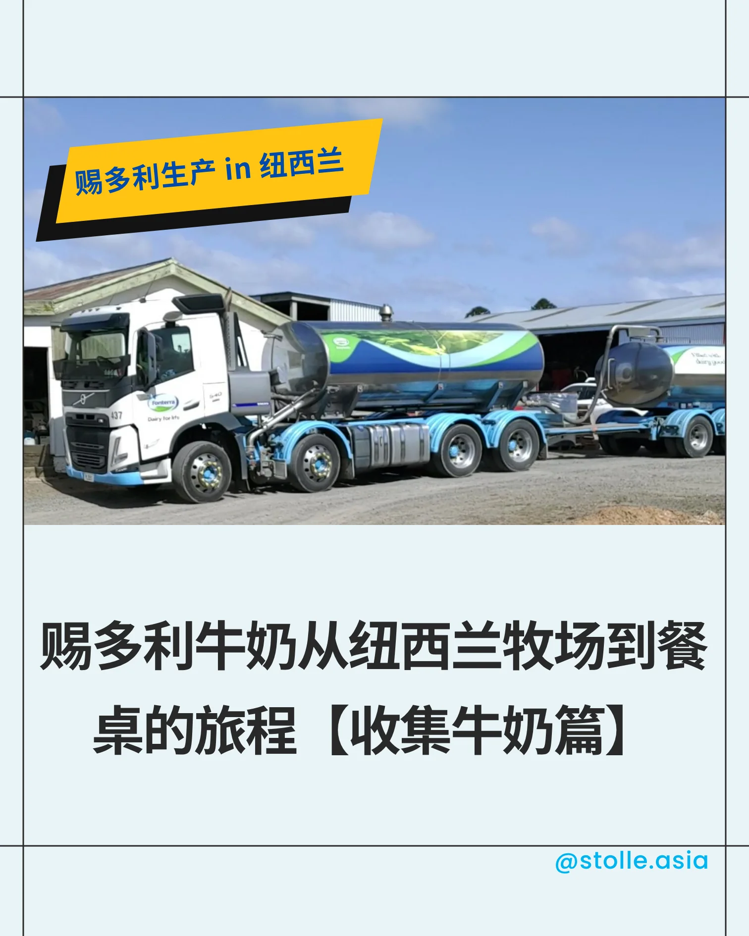 赐多利牛奶从纽西兰牧场到餐桌的旅程【收集牛奶篇】