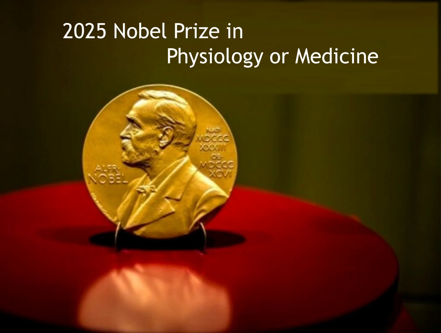 Stolle Asia | Sharing the Nobel Vision of Immune Balance