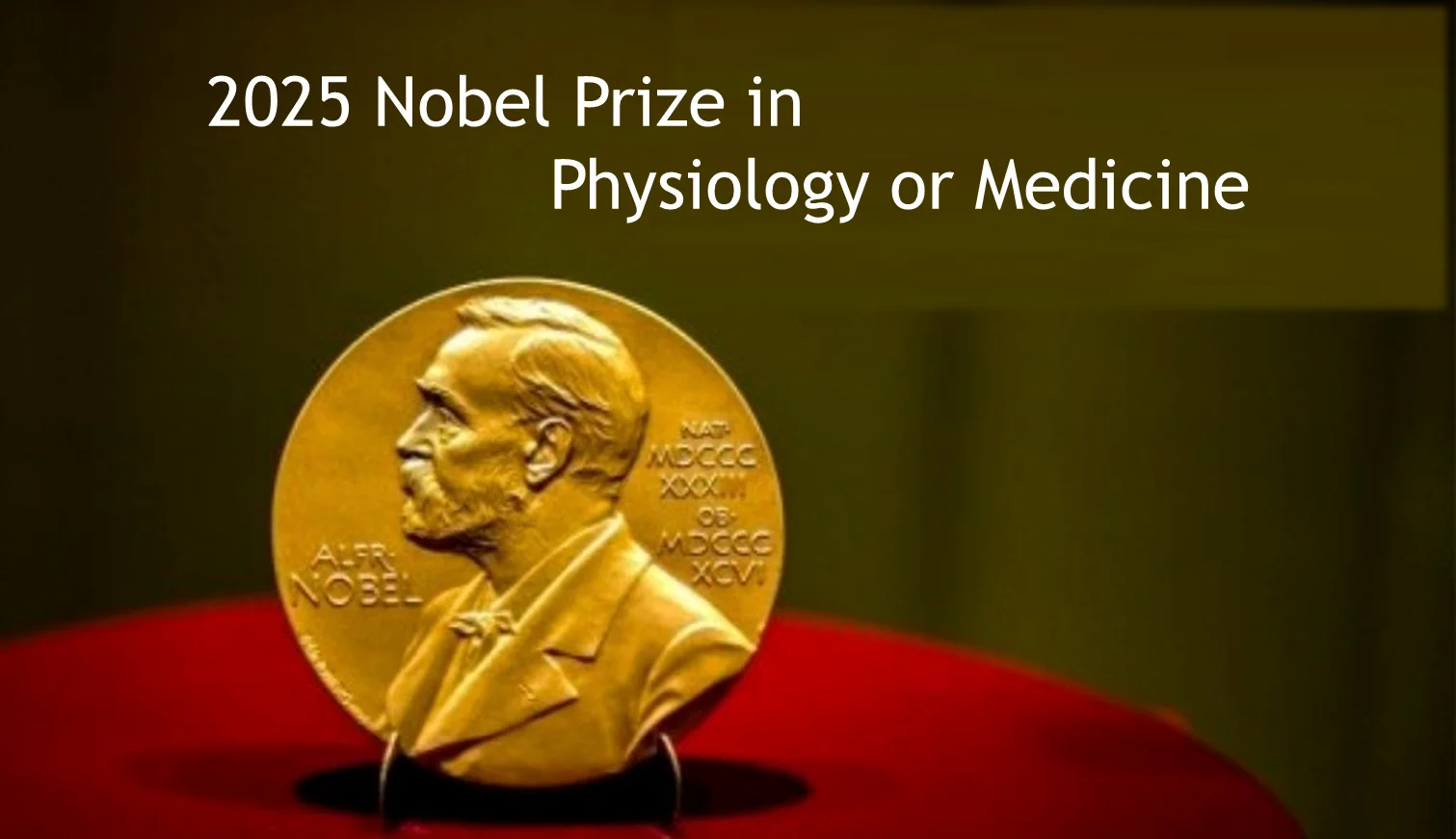 Stolle Asia | Sharing the Nobel Vision of Immune Balance